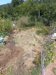 Bursa İnegöl Cemiyet Mahallesi 55 m² satılık bağ & Bahçe arsa - Fotoğraf 1