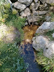 https://cdn.ilanlar.com/images/l1/l2/{width}/{height}/30013268_1783606879252499182.jpg