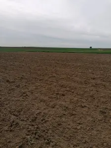 https://cdn.ilanlar.com/images/l1/l2/{width}/{height}/30013471_1784111553504489684.jpg