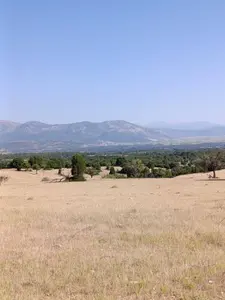 Denizli Tavas Kızılcabölük Mahallesi 49.900 m² satılık tarla arsa - Fotoğraf 1
