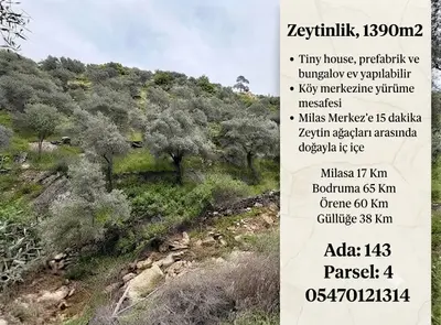 advert_260729_162134_4966.png