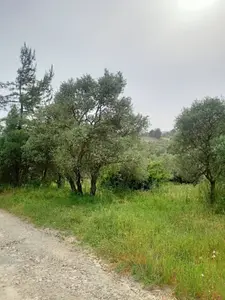 advert_260729_190339_9557.jpg