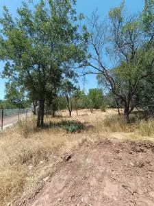 https://cdn.ilanlar.com/images/l1/l2/{width}/{height}/30014012_1785431678729244059.jpg