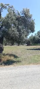 İzmir Urla Kuşçular Mahallesi 10.913 m² satılık tarla arsa - Fotoğraf 1