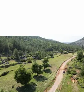 Antalya Alanya Orhan Mahallesi 650 m² satılık arazi arsa - Fotoğraf 1