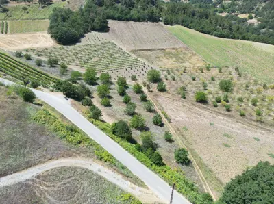 Sakarya Geyve Çukurköy Mahallesi 24.000 m² satılık bağ & Bahçe arsa - Fotoğraf 1