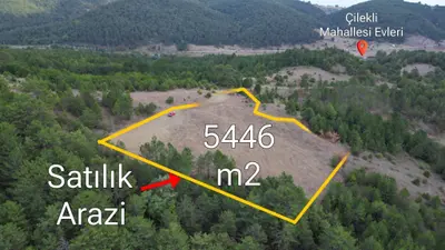 Sakarya Pamukova Çilekli Mahallesi 5.446 m² satılık tarla arsa - Fotoğraf 1