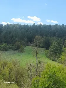 Bursa Harmancık Ballısaray Mahallesi 3.220 m² satılık muhtelif Arsa arsa - Fotoğraf 1