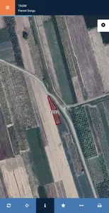 Sakarya Pamukova Çardak Mahallesi 1.087 m² satılık bağ & Bahçe arsa - Fotoğraf 1