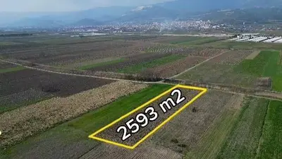 Sakarya Pamukova Cihadiye Mahallesi 2.593 m² kiralık tarla arsa - Fotoğraf 1