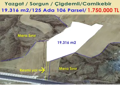 Yozgat Sorgun Çiğdemli, Camiikebir Mahallesi 19.316 m² satılık arazi arsa - Fotoğraf 1
