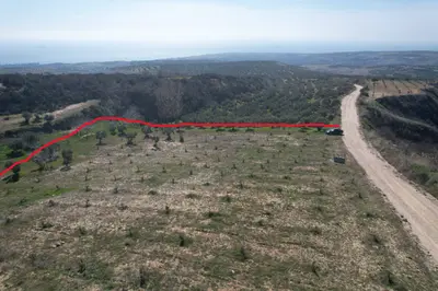 Tekirdağ Şarköy Tepeköy Mahallesi 4.412 m² satılık zeytinlik arsa - Fotoğraf 1