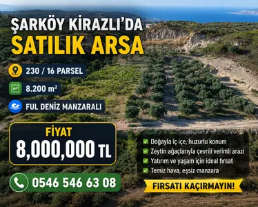 Tekirdağ Şarköy Kirazlı Mahallesi 8.200 m² satılık zeytinlik arsa - Fotoğraf 1