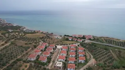 Tekirdağ Şarköy Hoşköy Mahallesi 8.000 m² satılık zeytinlik arsa - Fotoğraf 1