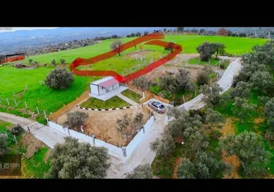 İzmir Torbalı Dirmil Mahallesi 820 m² satılık zeytinlik arsa - Fotoğraf 1