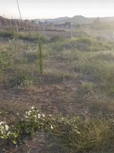 Adana Karaisalı Topaktaş Mahallesi 845 m² satılık tarla arsa - Fotoğraf 1