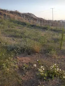 Adana Karaisalı Topaktaş Mahallesi 1.090 m² satılık tarla arsa - Fotoğraf 1