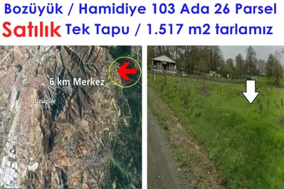 Bilecik Bozüyük Hamidiye Köyü Mahallesi 1.517 m² satılık bağ & Bahçe arsa - Fotoğraf 1