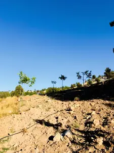 Kahramanmaraş Dulkadiroğlu Başdevrişli Mahallesi 2.163 m² satılık tarla arsa - Fotoğraf 1