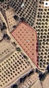 Manisa Akhisar Yayakırıldık Mahallesi 1.917 m² satılık arazi arsa - Fotoğraf 1