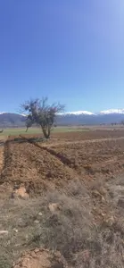 Denizli Tavas Bahçeköy Mahallesi 1.227 m² satılık tarla arsa - Fotoğraf 1