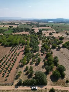 Denizli Tavas Karahisar Mahallesi 1.106 m² satılık tarla arsa - Fotoğraf 1