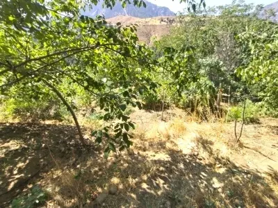 Kahramanmaraş Onikişubat Suçatı Mahallesi 534 m² satılık tarla arsa - Fotoğraf 1