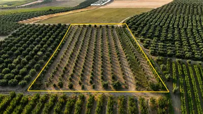 Manisa Salihli Akören Mahallesi 6.150 m² satılık tarla arsa - Fotoğraf 1