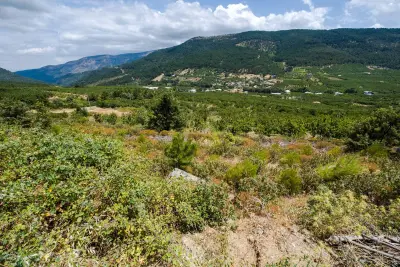 İzmir Kemalpaşa Kamberler Mahallesi 5.978 m² satılık bağ & Bahçe arsa - Fotoğraf 1