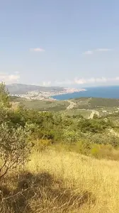 Bursa Mudanya Altıntaş Mahallesi 3.998 m² satılık bağ & Bahçe arsa - Fotoğraf 1