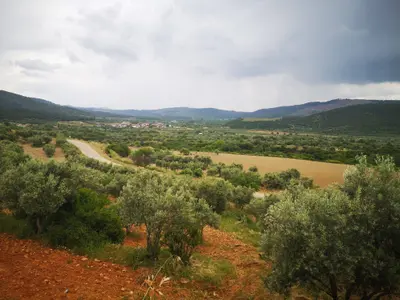 Denizli Tavas Seki Mahallesi 4.283 m² satılık tarla arsa - Fotoğraf 1