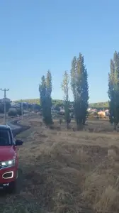 Uşak Merkez Hacıkadem Mahallesi 431 m² satılık tarla arsa - Fotoğraf 1