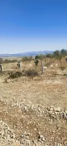 Denizli Serinhisar Şair Eşref Mahallesi 2.500 m² satılık bağ & Bahçe arsa - Fotoğraf 1
