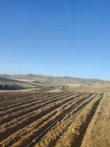 Niğde Merkez Elmalı, Menderes Mahallesi 13.428 m² satılık tarla arsa - Fotoğraf 1