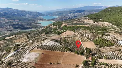Aydın Bozdoğan Örencik Mahallesi 4.000 m² satılık zeytinlik arsa - Fotoğraf 1