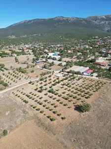 Denizli Tavas Bahçeköy Mahallesi 2.185 m² satılık konut arsa - Fotoğraf 1