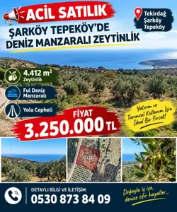 Tekirdağ Şarköy Tepeköy Mahallesi 4.412 m² satılık bağ & Bahçe arsa - Fotoğraf 1