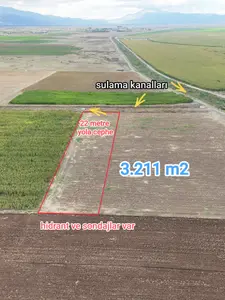 Denizli Acıpayam Akalan Mahallesi 3.211 m² satılık tarla arsa - Fotoğraf 1