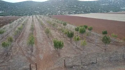Antalya Korkuteli Bayat Mahallesi 11.200 m² satılık bağ & Bahçe arsa - Fotoğraf 1