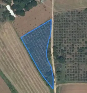 Bursa Kestel Ümitalan Mahallesi 3.455 m² satılık bağ & Bahçe arsa - Fotoğraf 1