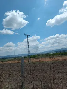 Balıkesir Gönen Karaağaçalan Mahallesi 53.250 m² satılık tarla arsa - Fotoğraf 1