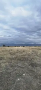 Denizli Acıpayam Akalan Mahallesi 4.942 m² satılık tarla arsa - Fotoğraf 1