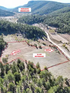 Denizli Kale Karayayla Mahallesi 16.490 m² satılık tarla arsa - Fotoğraf 1
