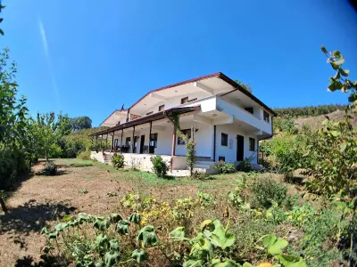 Sakarya Akyazı Merkezyeniköy Mahallesi 7+2 500 m² satılık villa - Fotoğraf 1