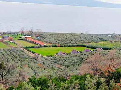 Bursa Orhangazi Gölyaka Mahallesi 1.733 m² satılık zeytinlik arsa - Fotoğraf 1