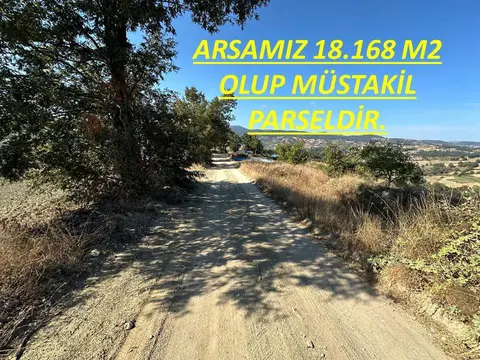 Balıkesir Sındırgı Yüreğil Mahallesi 18.168 m² satılık tarla arsa - Fotoğraf 3