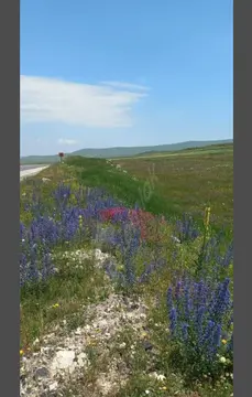 Ardahan Çıldır Meryemköy Köyü Mahallesi 1.797 m² satılık tarla arsa - Fotoğraf 3