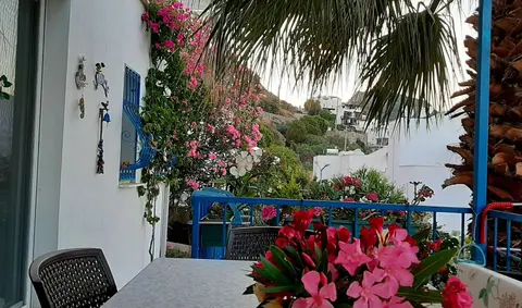 advert_250917_174748_5383.jpg