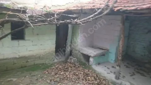 https://cdn.ilanlar.com/images/l1/l2/{width}/{height}/30008344_1770929536320016816.jpg