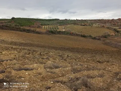 https://cdn.ilanlar.com/images/l1/l2/{width}/{height}/30010060_1776510096022667776.jpg